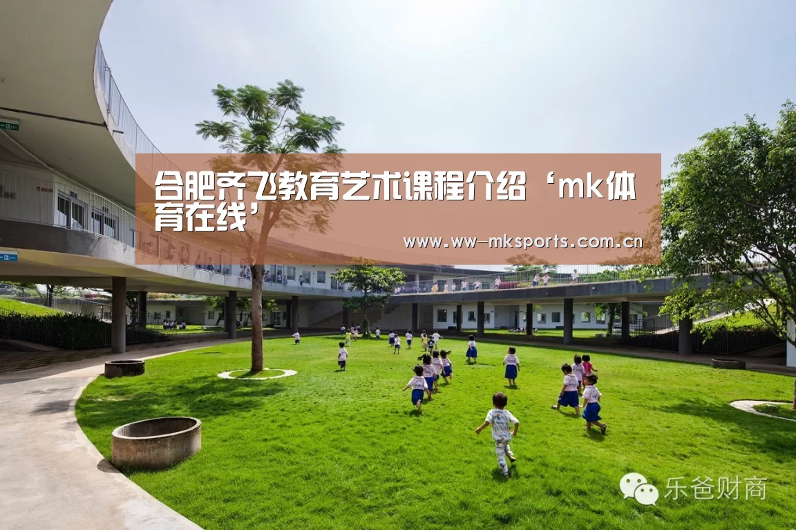 合肥齐飞教育艺术课程介绍‘mk体育在线’(图4) mk体育下载