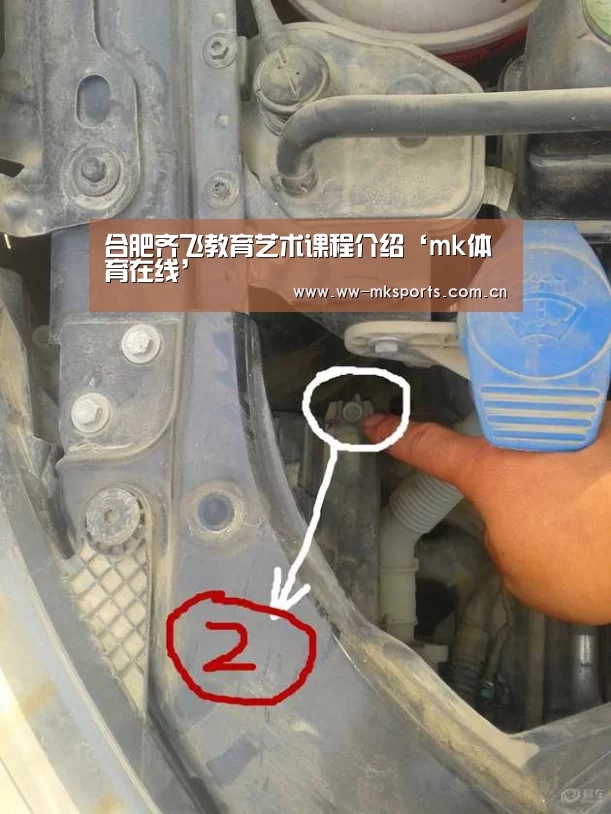 合肥齐飞教育艺术课程介绍‘mk体育在线’(图2) mk体育注册