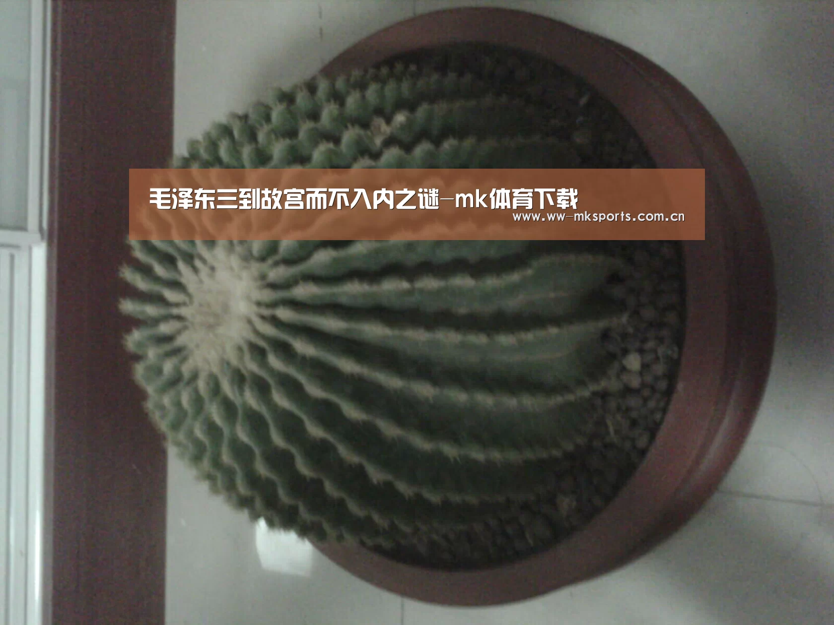 mk体育在线