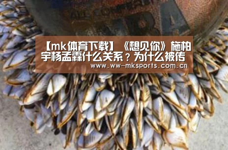 mk体育在线