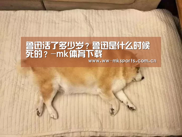 mk体育注册
